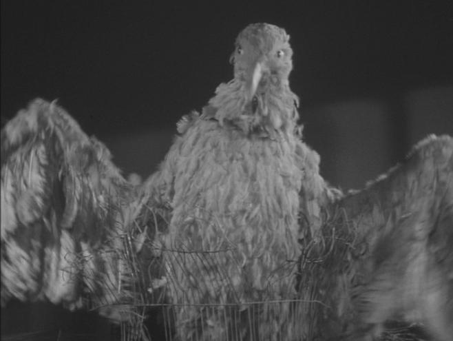 This image has an empty alt attribute; its file name is b0003180_21145081.jpg