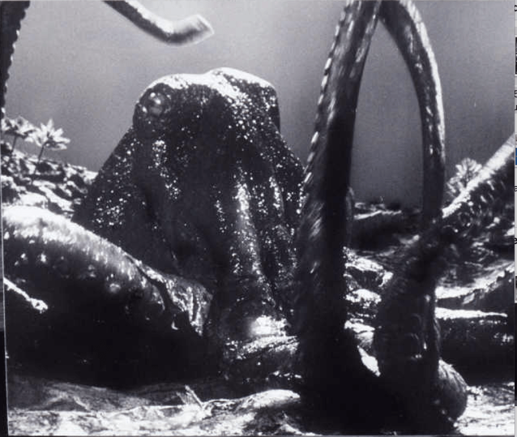 Man, Matter, morphosis アアルト/タピオヴァーラ Pristine Mens New Balance 510 V3 All Terrain Shoes MT510LL3